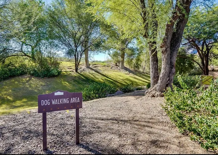 Spacious Retreat 3 King Beds Poolsspas, Mountain Views, Hikinggolf Apartament Tucson